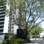 Amber Park sets freehold collective sale record